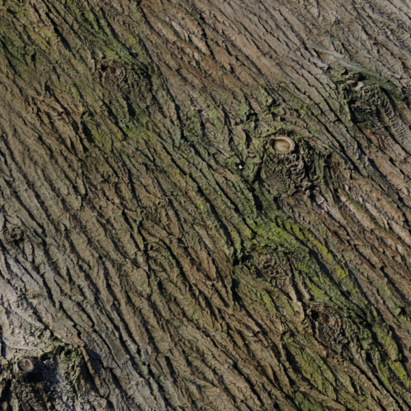 Bark Brown 02 3D model