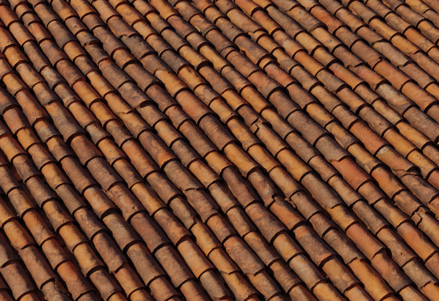 Clay Roof Tiles 02 3D model
