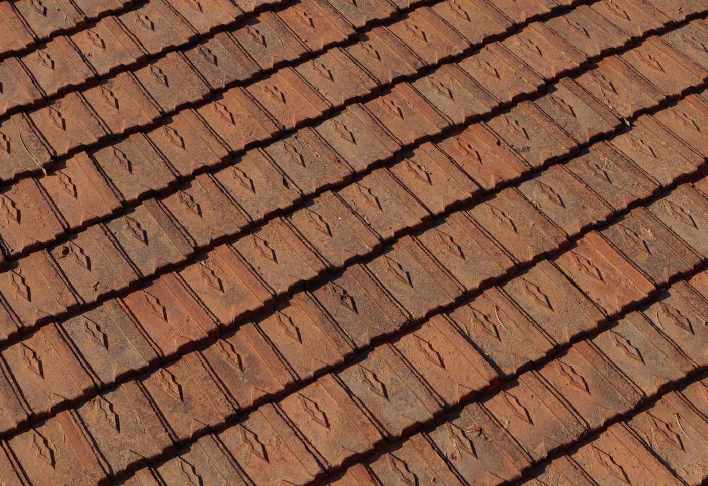 Clay Roof Tiles 03 3D model
