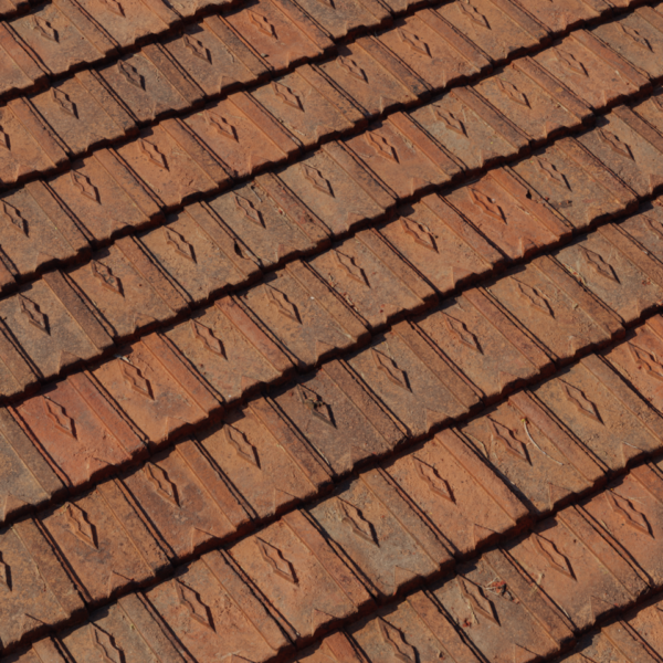 Clay Roof Tiles 03 3D model