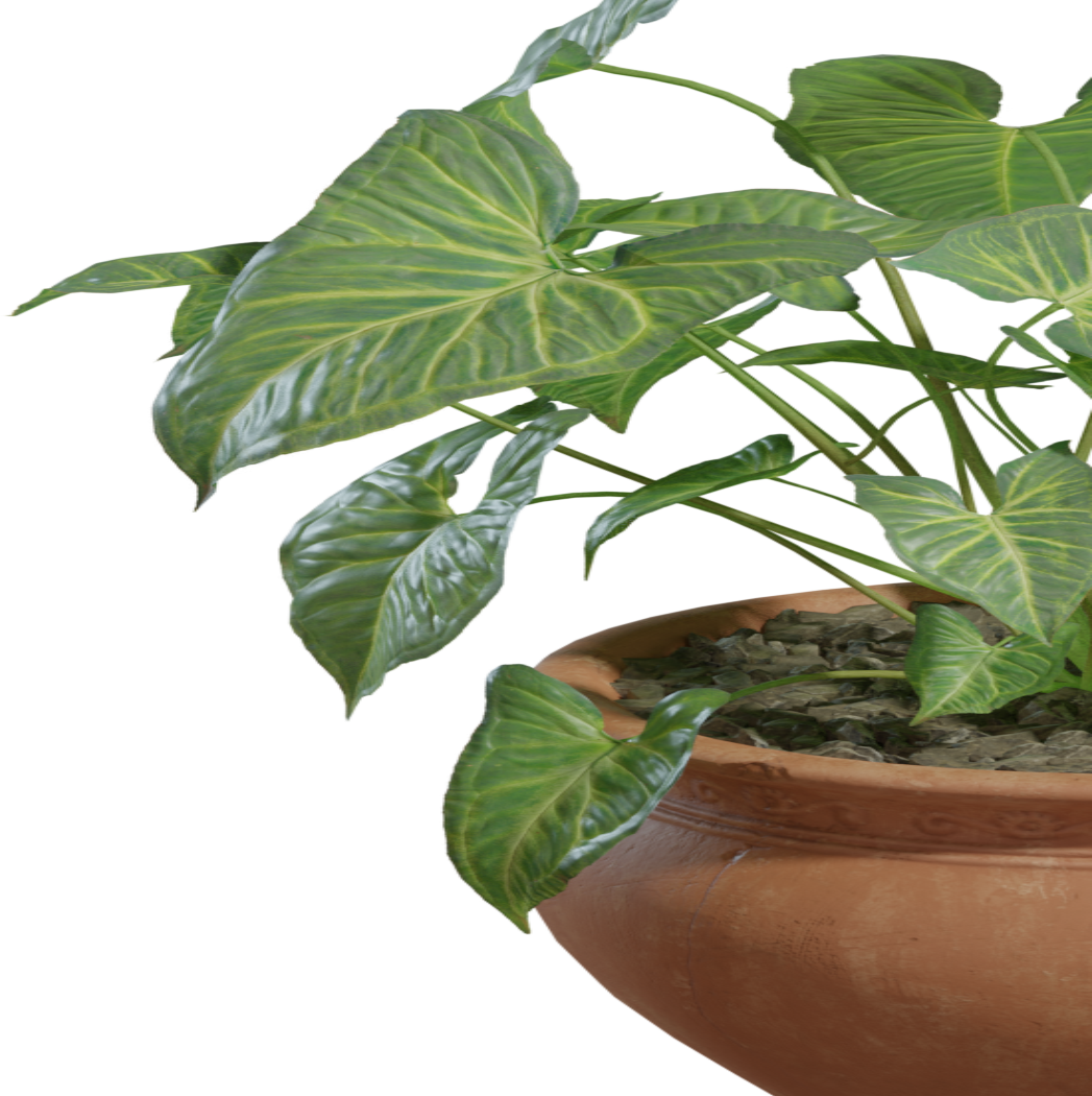 Potted Plant 02 3D model