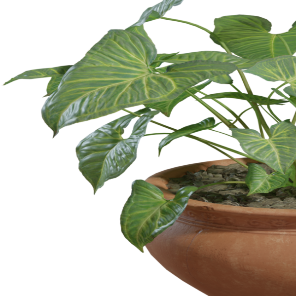 Potted Plant 02 3D model
