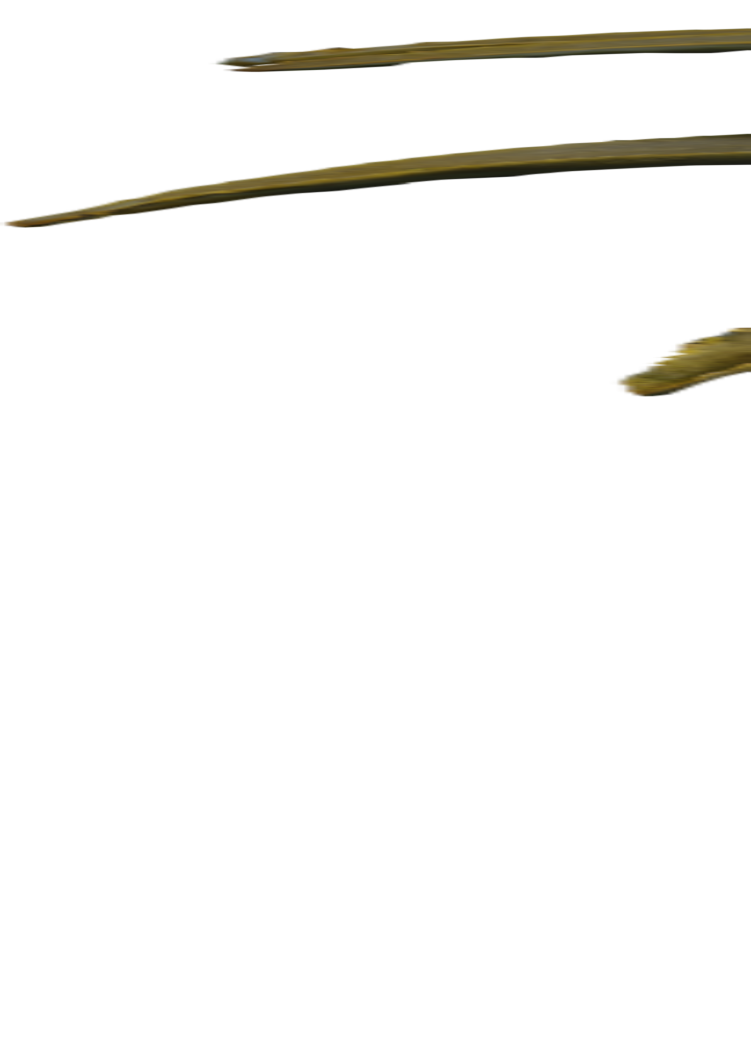 Quiver Tree 02 3D model