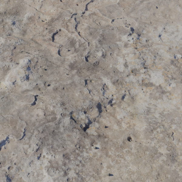 Rock Boulder Dry 3D model