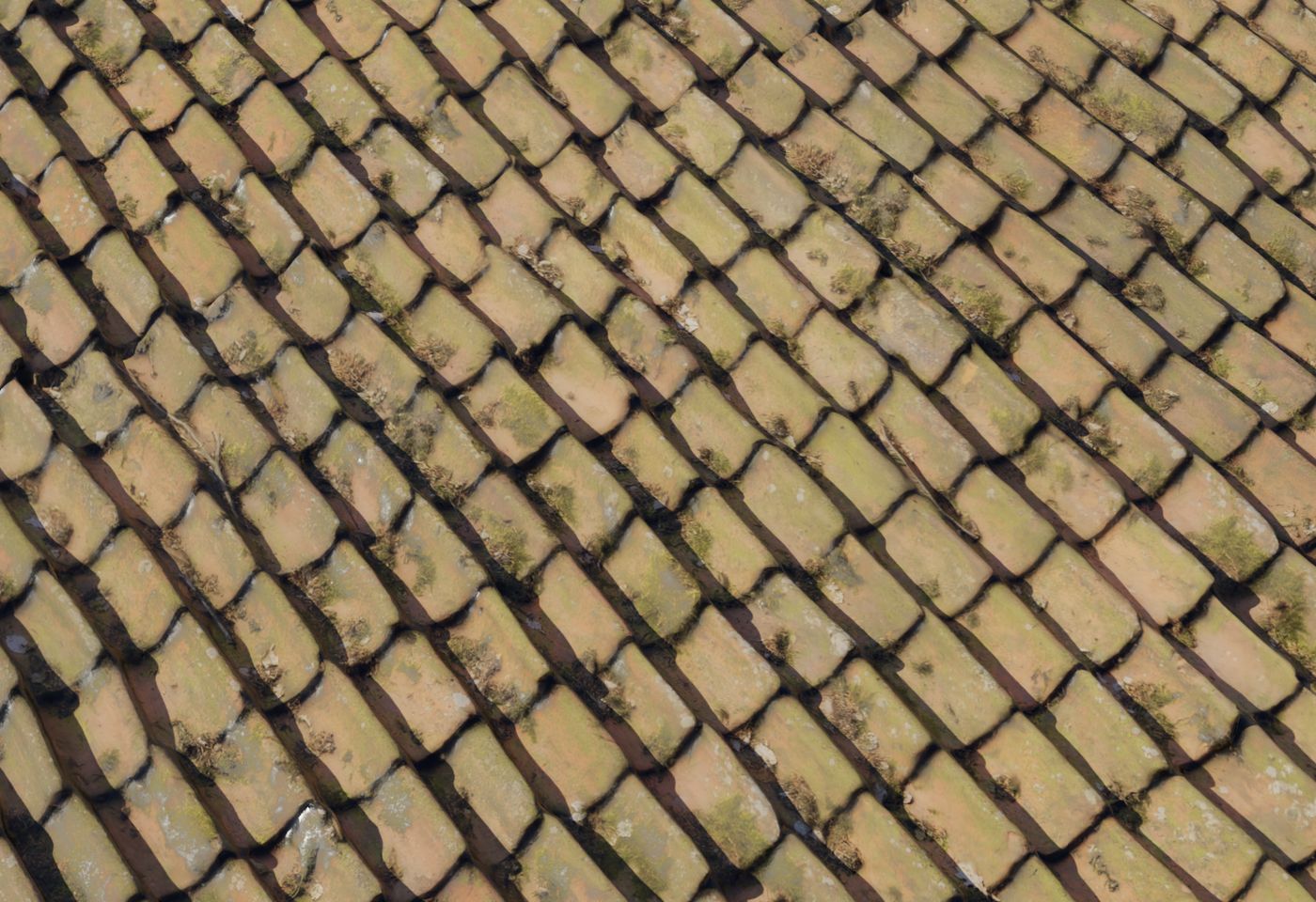 Roof 3 3D model