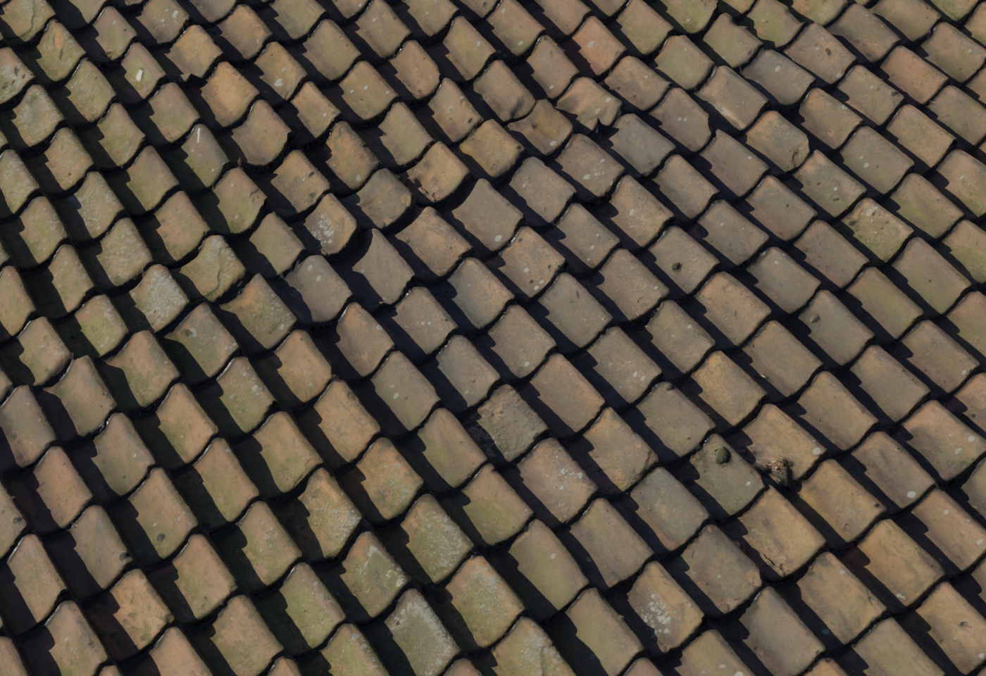 Roof Tiles 14 3D model