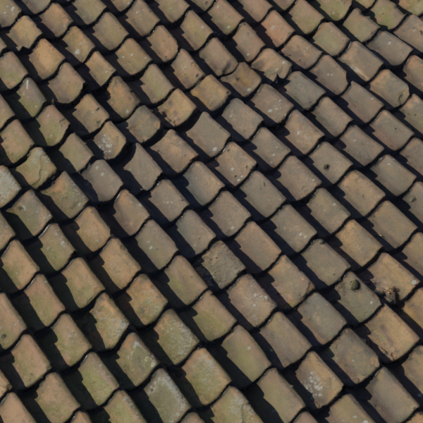 Roof Tiles 14 3D model