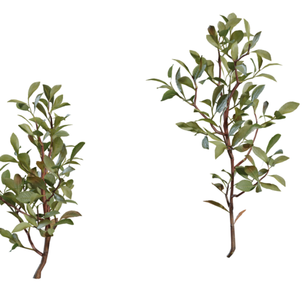 Shrub 04 3D model