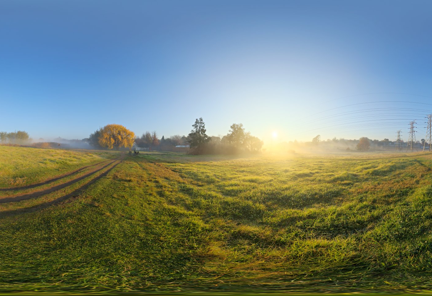 Spruit Sunrise 3D model
