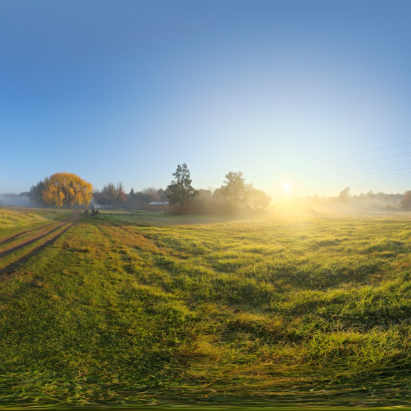 Spruit Sunrise 3D model