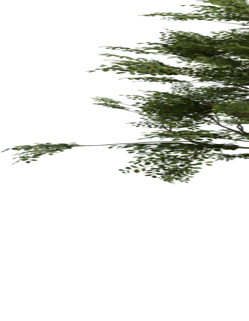 Tree Small 02 3D model
